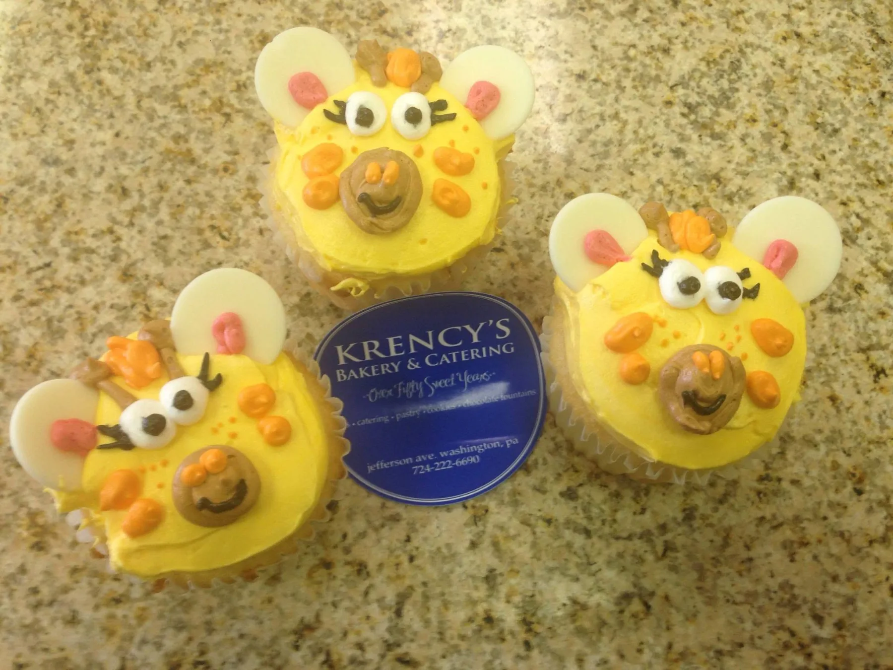 Hand-decorated character cupcakes